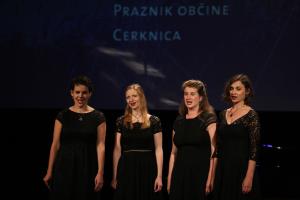 SLAVNOSTNA SEJA OBČINSKEGA SVETA OBČINE CERKNICA 17 FOTO LJUBO VUKELIČ